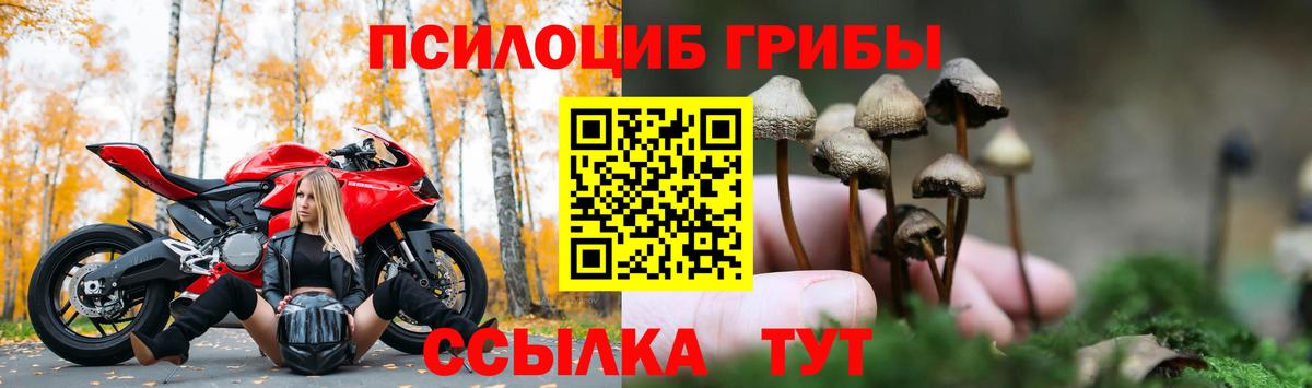 Избербаш  Псилоцибиновые грибы Magic Shrooms  Вход с VPN 